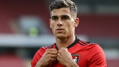 Bournemouth sign Michele Di Gregorio on loan from Juventus with an option to buy for €14m, adding to their Premier League...